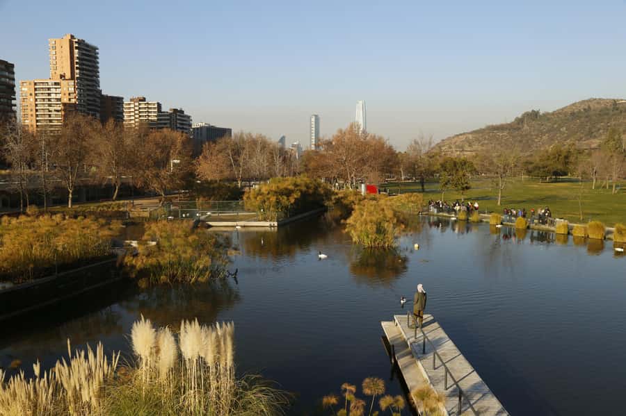 Santiago Half-Day Walking Tour with Hotel Pick up & Brunch - Bicentenario Park, fine art, and the Mapocho