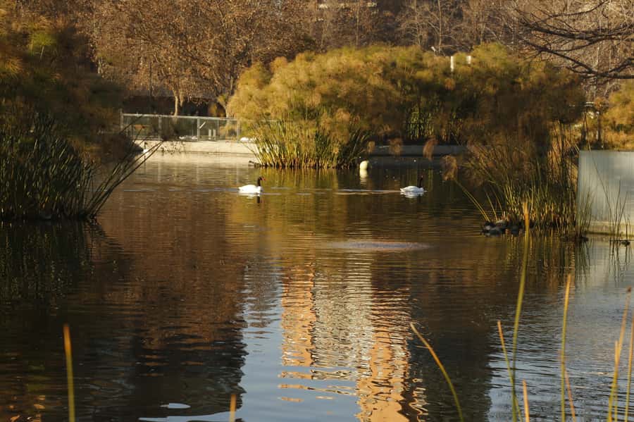 Santiago Half-Day Walking Tour with Hotel Pick up & Brunch - A flexible finish for the rest of your day
