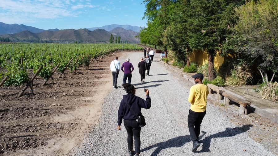 Santiago: Inca Lagoon Tour with Local Vineyard and Tasting - Portillo and the turquoise Inca Lagoon