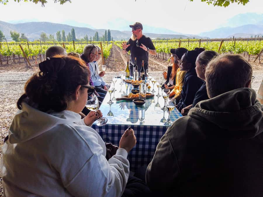 Santiago: Inca Lagoon Tour with Local Vineyard and Tasting - What the $79 price really covers