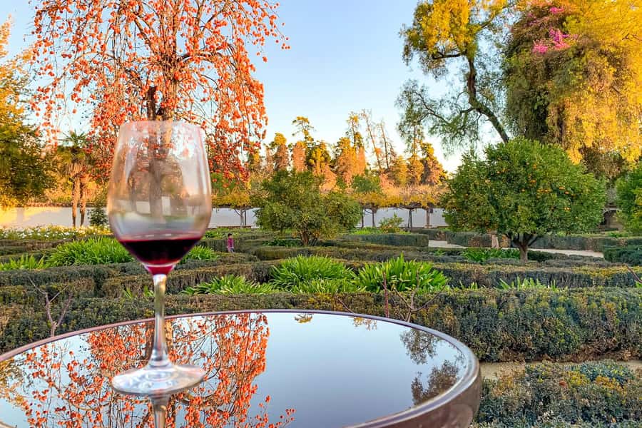 Santiago: Main Chilean Wineries Private Half-Day Tours - Four Useful Things To Know Before You Go