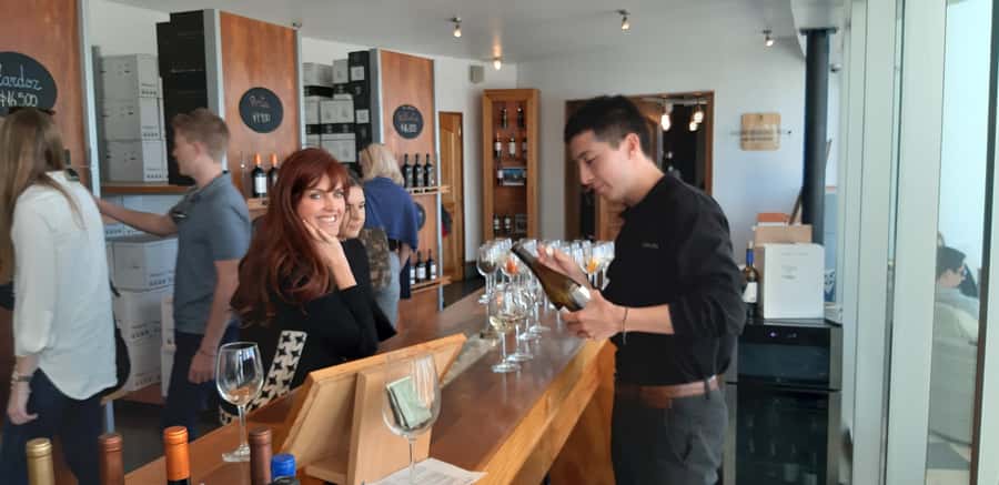 Santiago: Main Chilean Wineries Private Half-Day Tours - Lunch Helps Make the Half-Day Format Work
