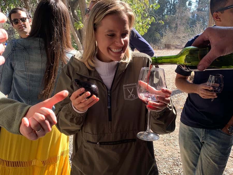 Santiago: Maipo Valley Wine Tasting Tour with 4 Vineyards - Santa Ema brings a polished second tasting