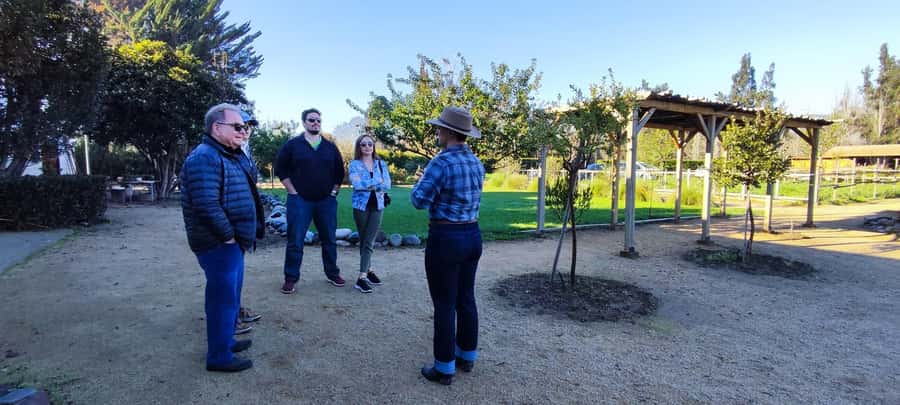 Santiago: Maipo Valley Wine Tasting Tour with 4 Vineyards - TerraMater is the lunch break, not a full tasting