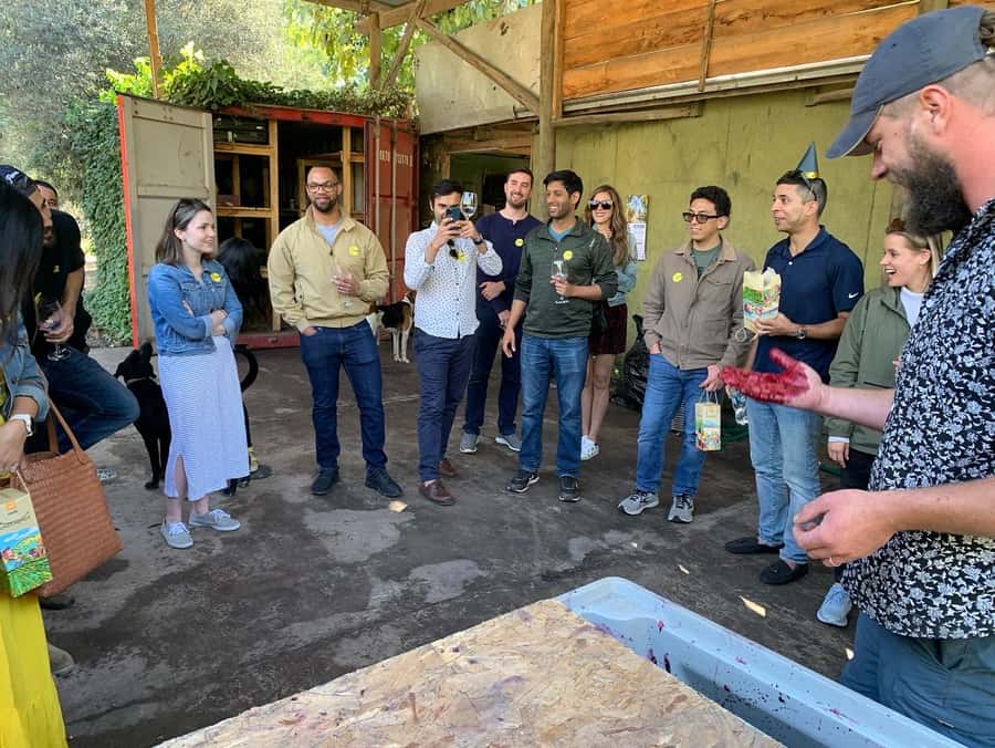 Santiago: Maipo Valley Wine Tasting Tour with 4 Vineyards - Undurraga closes the day with scale and tradition