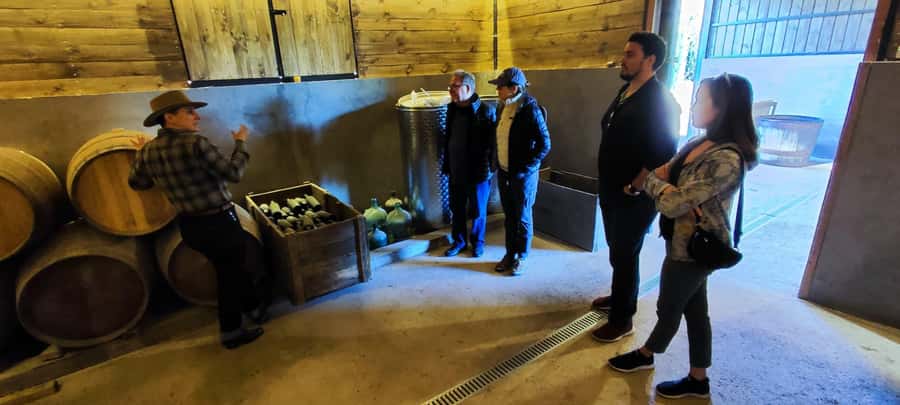 Santiago: Maipo Valley Wine Tasting Tour with 4 Vineyards - How much wine will you taste?