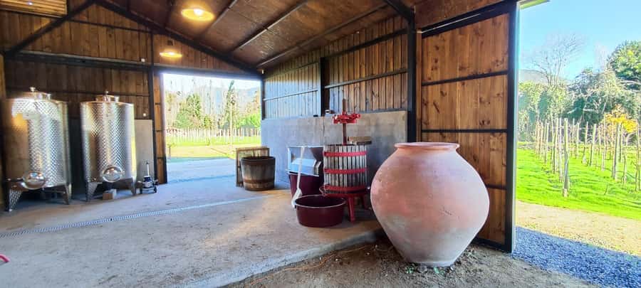 Santiago: Maipo Valley Wine Tasting Tour with 4 Vineyards - The strongest value, and the fair criticisms