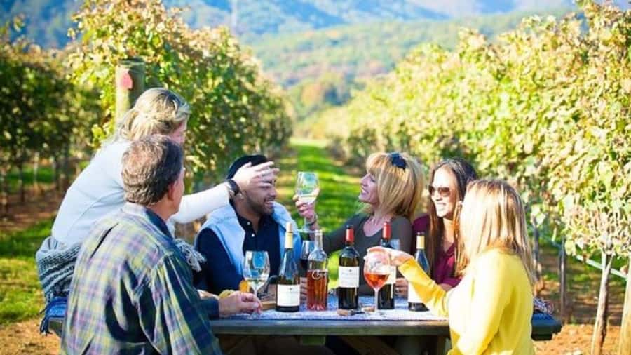 Santiago: Maipo Valley Wine Tasting Tour with 4 Vineyards - The morning starts at Campo La Quirinca