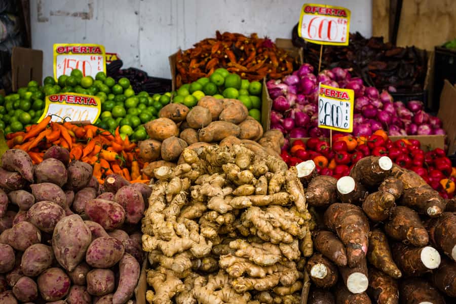 Santiago: Markets Bike Tour - Santiago Markets Bike Tour: Key Points