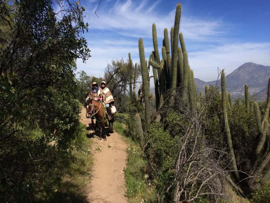 Santiago: Private Andes Foothills Horseback Riding. Half day - Meeting the Chilean horses and arriero guides