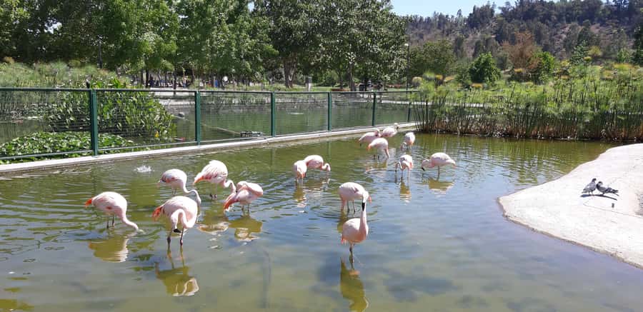 Santiago: Private Half-Day City Tour - Seeing Santiago through viewpoints, parks, and streets