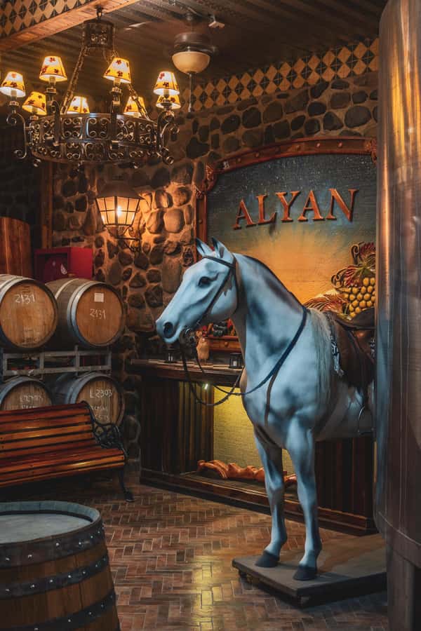 Santiago: Sunset at Vinicola Alyan Family - Why Alyan Family Wines feels different