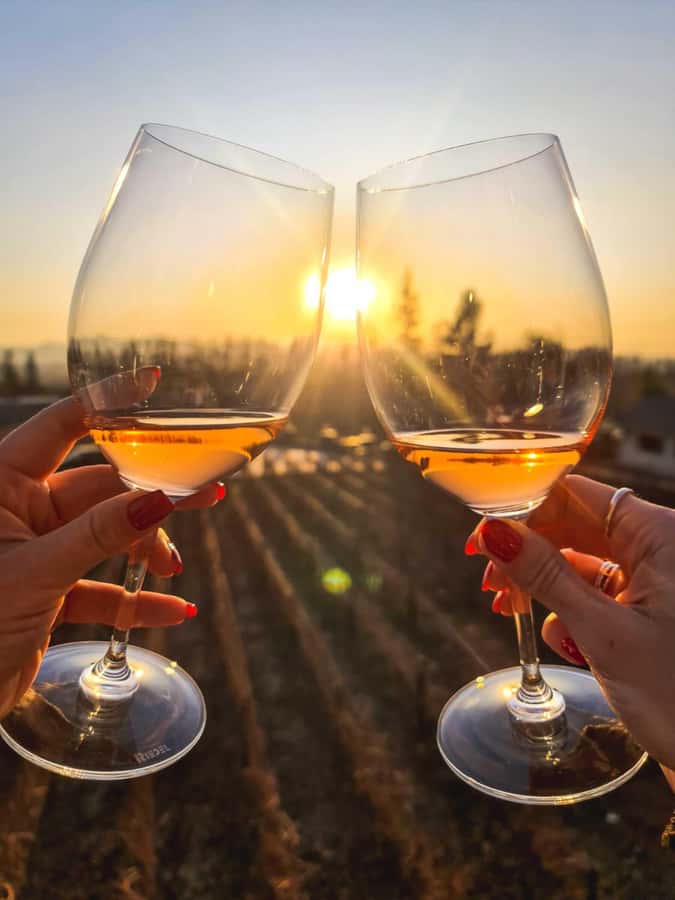 Santiago: Sunset at Vinicola Alyan Family - Who should book this evening?