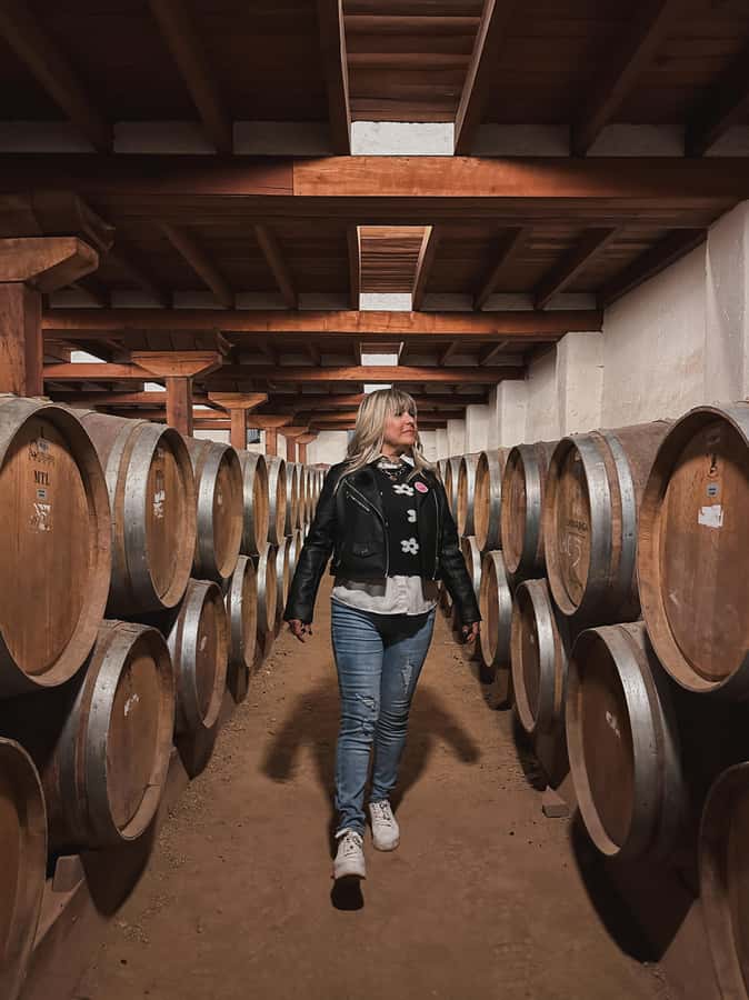 Santiago: Tour to Isla Negra, Algarrobo and Undurraga Wines - Why this day trip works from Santiago