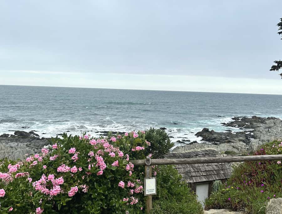 Santiago: Tour to Isla Negra, Algarrobo and Undurraga Wines - Isla Negra and Pablo Neruda’s sea-facing home