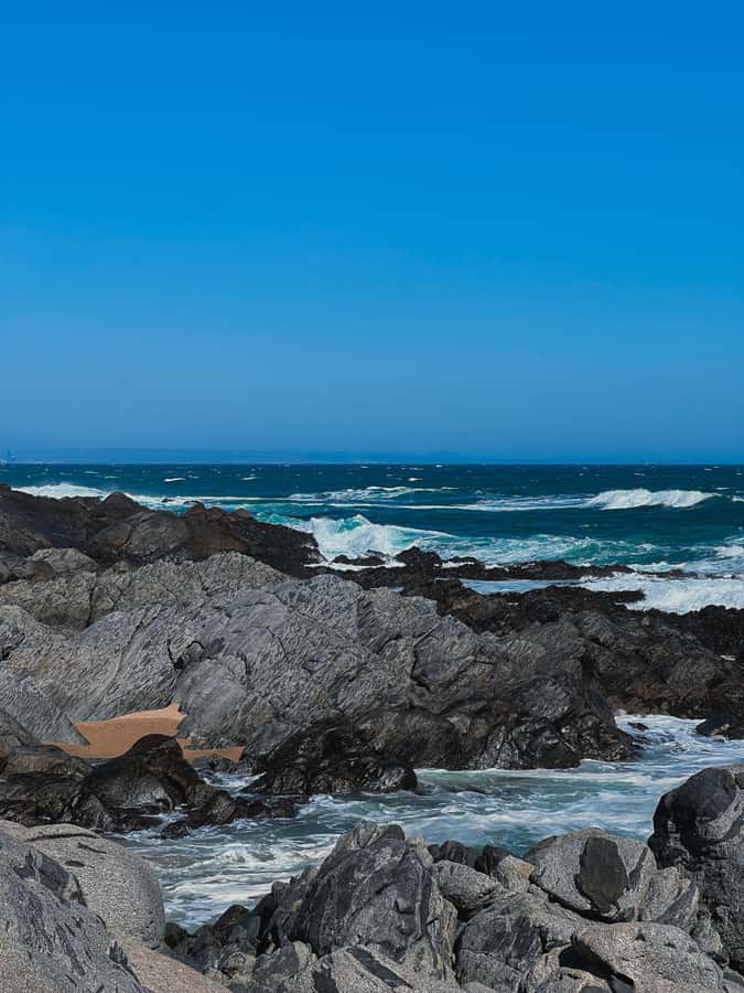 Santiago: Tour to Isla Negra, Algarrobo and Undurraga Wines - Small details that make the day easier