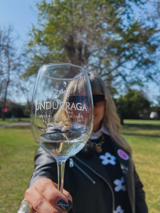 Santiago: Tour to Isla Negra, Algarrobo and Undurraga Wines - The morning at Undurraga Winery