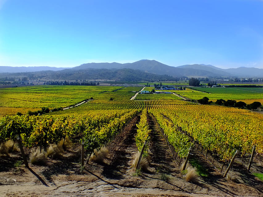 Santiago: Tour to Valparaiso and Casablanca - Casablanca Valley, from city streets to vineyard rows