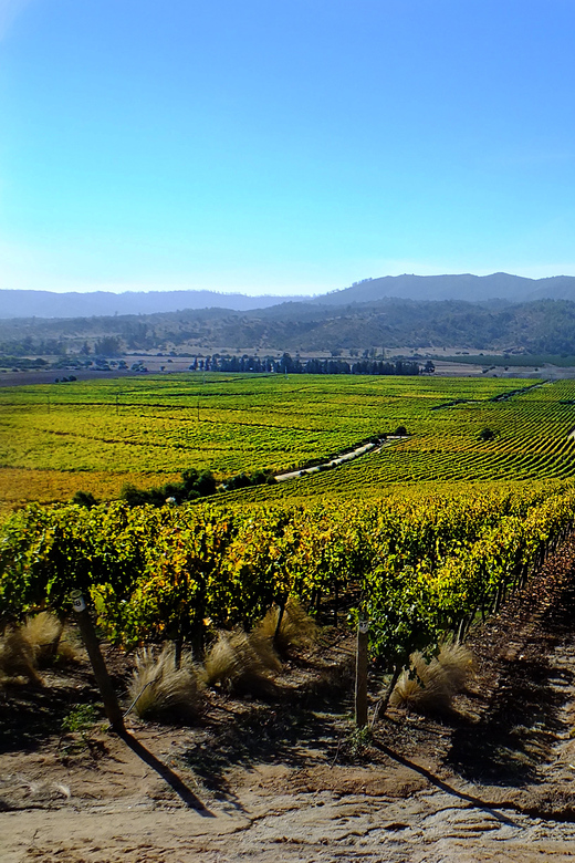 Santiago: Tour to Valparaiso and Casablanca - Lunch, luggage, and the final ride to San Antonio