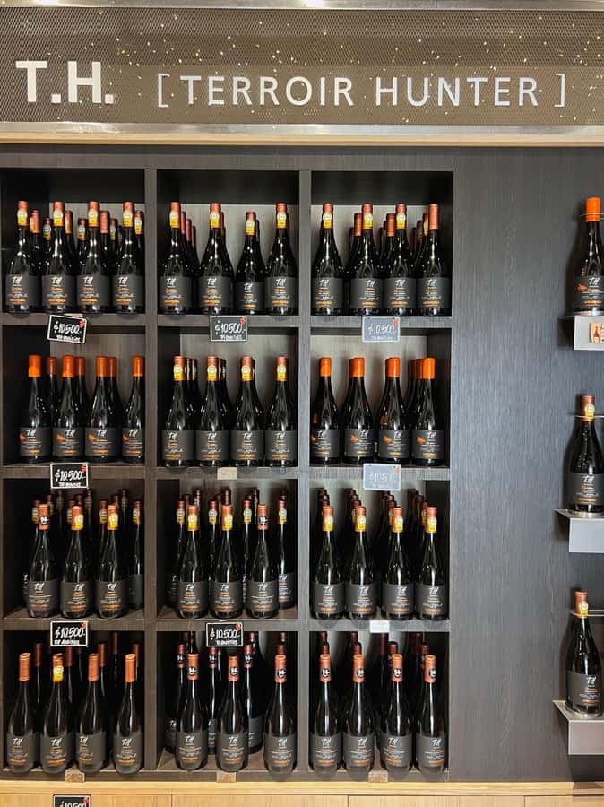 Santiago: Undurraga Winery Tour with Entry and Wine Tasting - Should you book it?