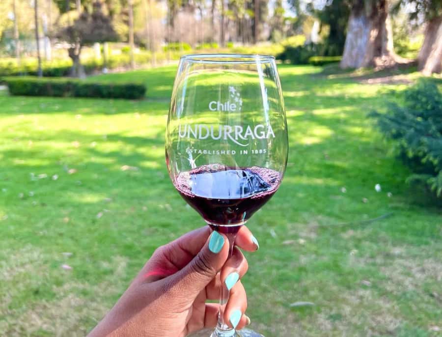 Santiago: Undurraga Winery Tour with Entry and Wine Tasting - Cellars with a cultural stop