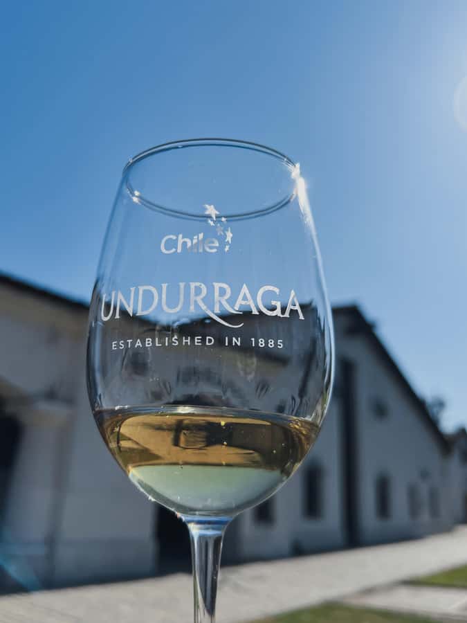 Santiago: Undurraga Winery Tour with Entry and Wine Tasting - Thirty minutes in the wine shop