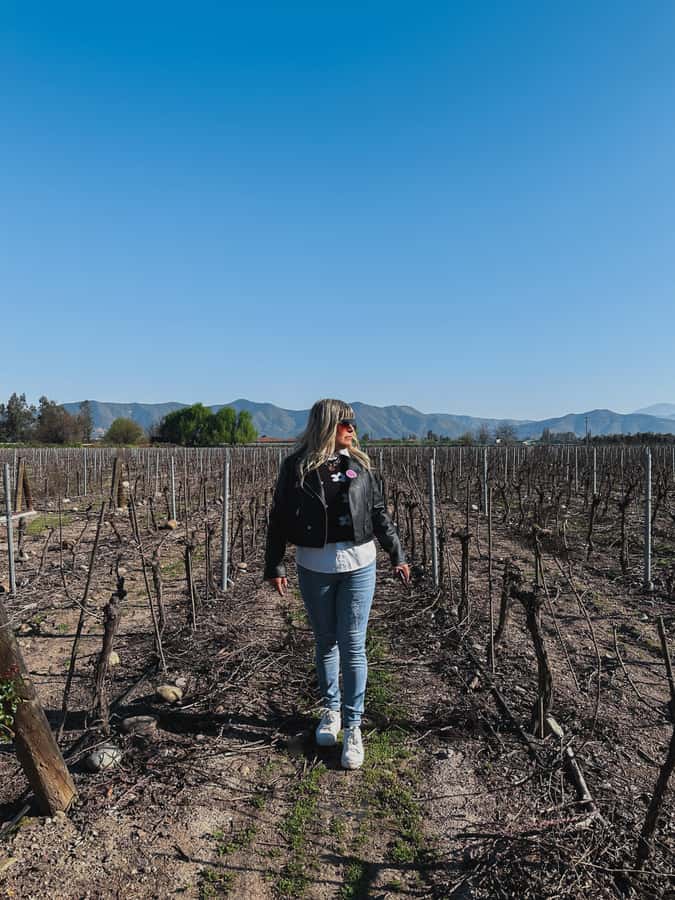 Santiago: Undurraga Winery Tour with Entry and Wine Tasting - How the experience handles groups and timing