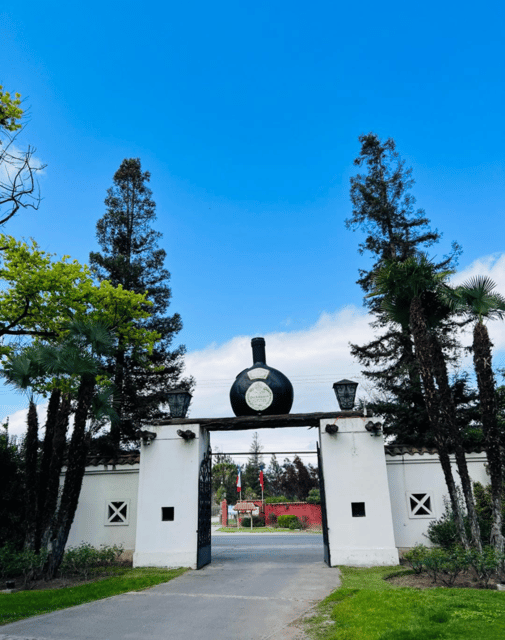 Santiago: Undurraga Winery Tour with Entry and Wine Tasting - Who should book this Undurraga tour?