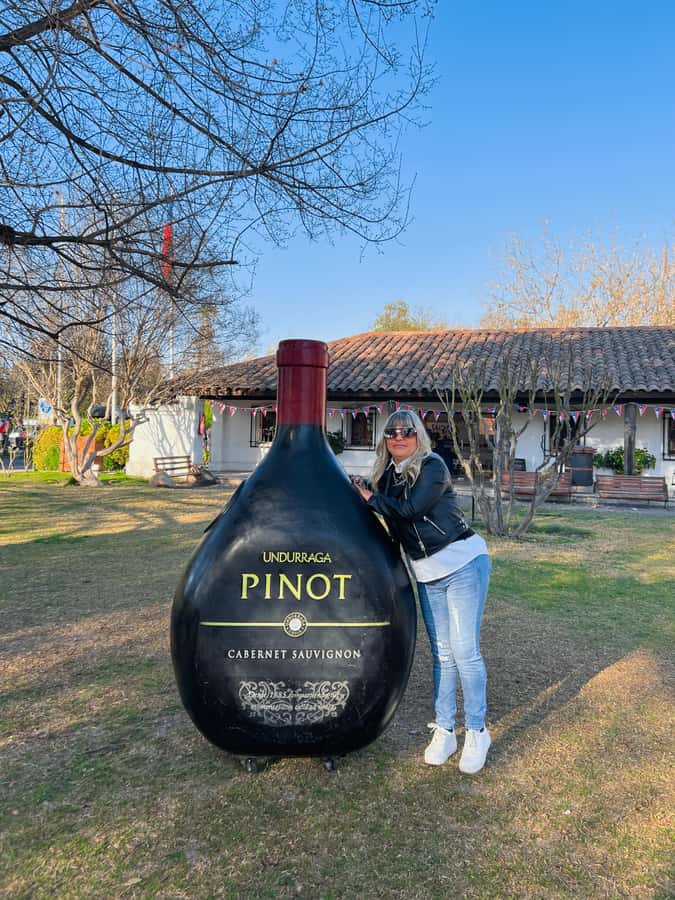 Santiago: Undurraga Winery Tour with Entry and Wine Tasting - The 40-minute ride from Santiago