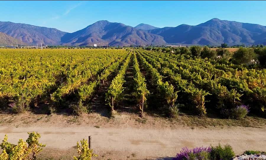 Santiago: Valparaiso, Viña del Mar, & Casablanca Valley Tour - Key points at a glance