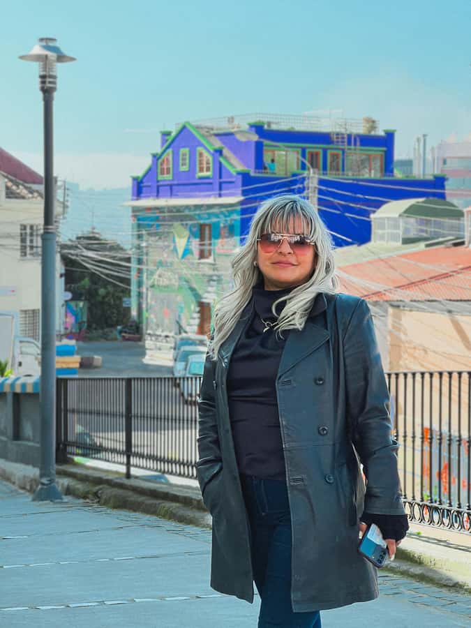 Santiago: Vina Del Mar, Valparaiso, Casablanca & Reñaca Tour - Transport, guides, and the rhythm of the day