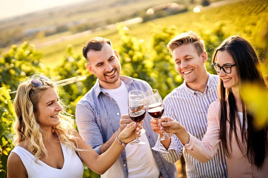 Santiago: World-class Wines, Visit to 4 Vineyards and Tanino - Four useful things to know before booking