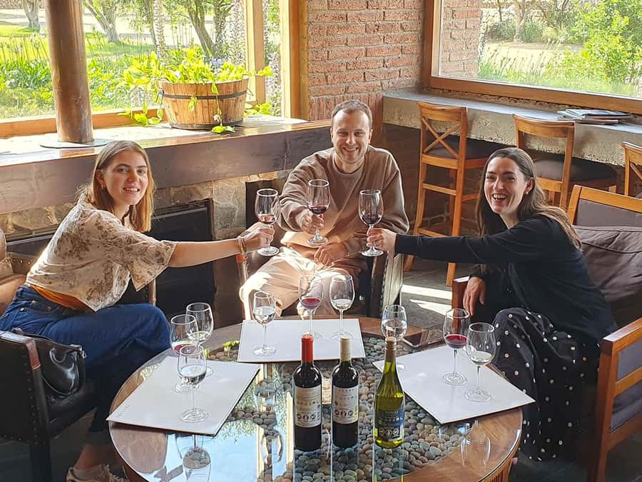 Santiago: World-class Wines, Visit to 4 Vineyards and Tanino - From Santiago to the Casablanca Valley