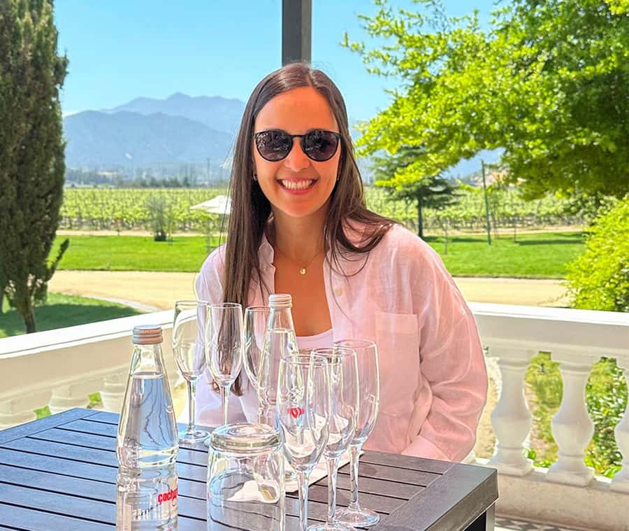 Santiago: World-class Wines, Visit to 4 Vineyards and Tanino - Viñamar and the appeal of Chilean sparkling wine