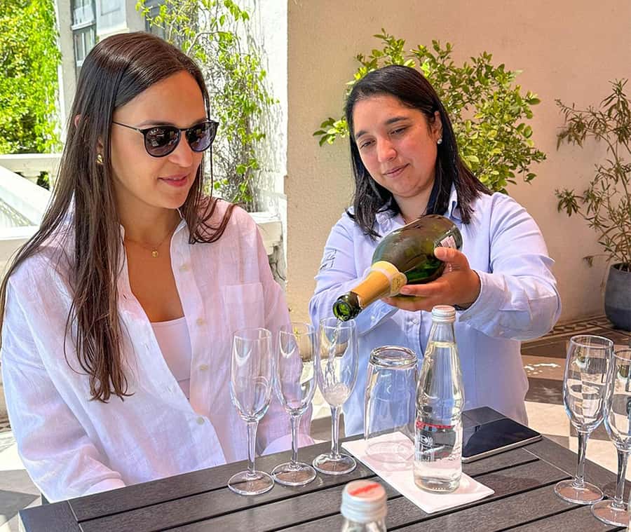 Santiago: World-class Wines, Visit to 4 Vineyards and Tanino - Bodegas RE, the most individualistic stop