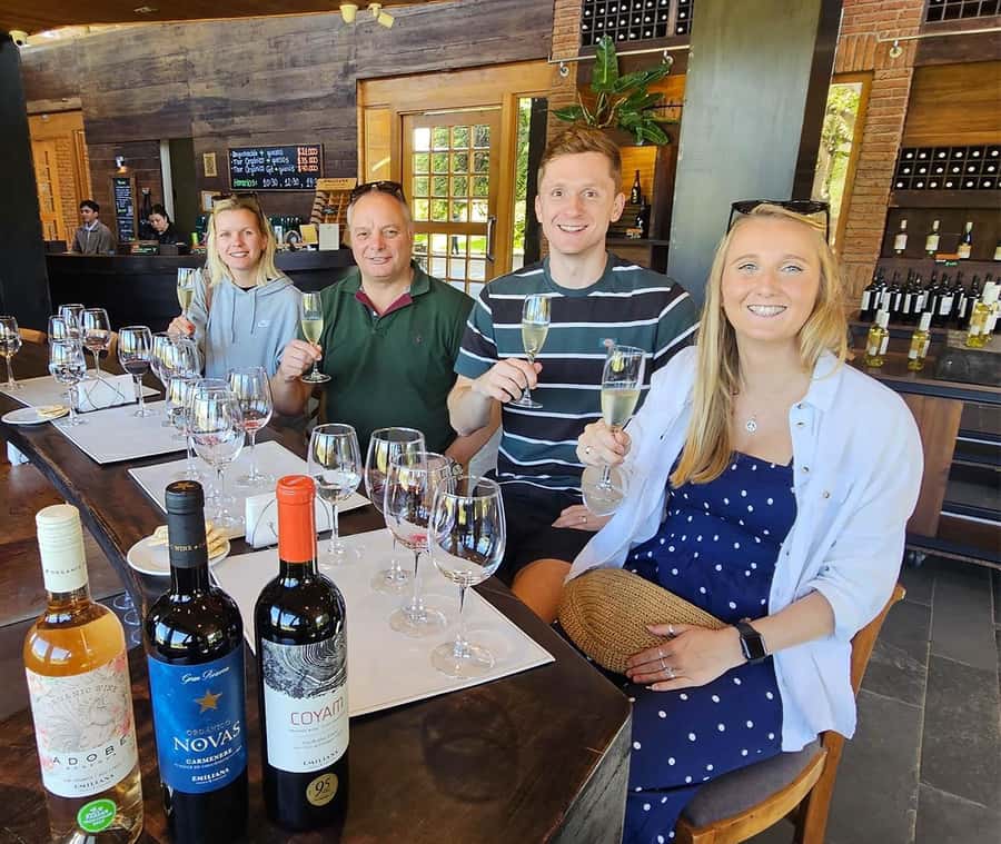 Santiago: World-class Wines, Visit to 4 Vineyards and Tanino - Casas del Bosque and lunch at Tanino