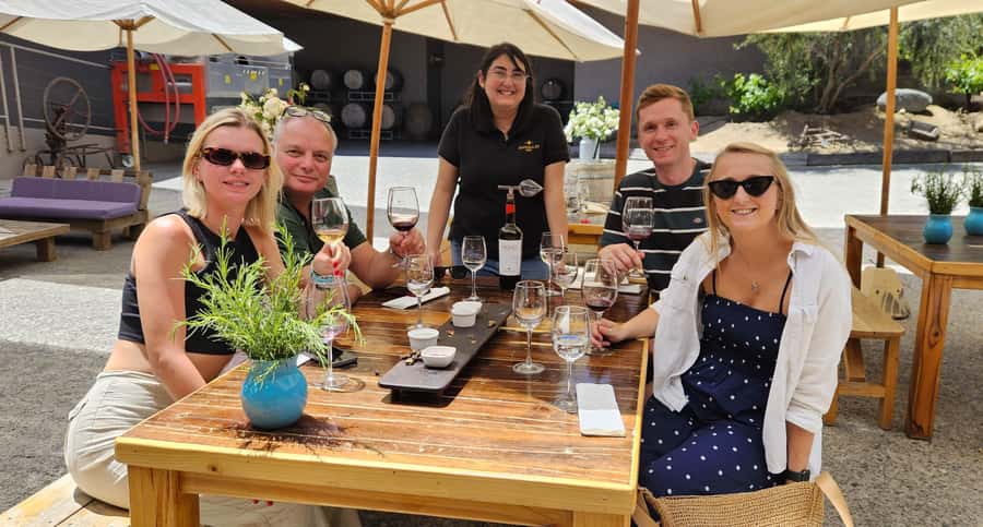 Santiago: World-class Wines, Visit to 4 Vineyards and Tanino - What $149 really gets you