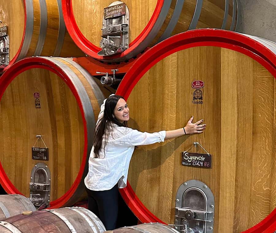 Santiago: World-class Wines, Visit to 4 Vineyards and Tanino - Emiliana: organic farming with a glass in hand