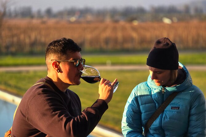 Street Art in Valparaiso and Wines in Casablanca from Santiago - Casablanca Valley wine and quiet vineyard time