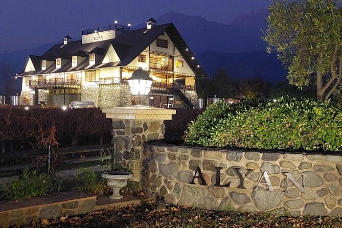 Sunset Alyan + 6 wines + individual snack + rustic dinner - Arriving at Alyan Family Wines
