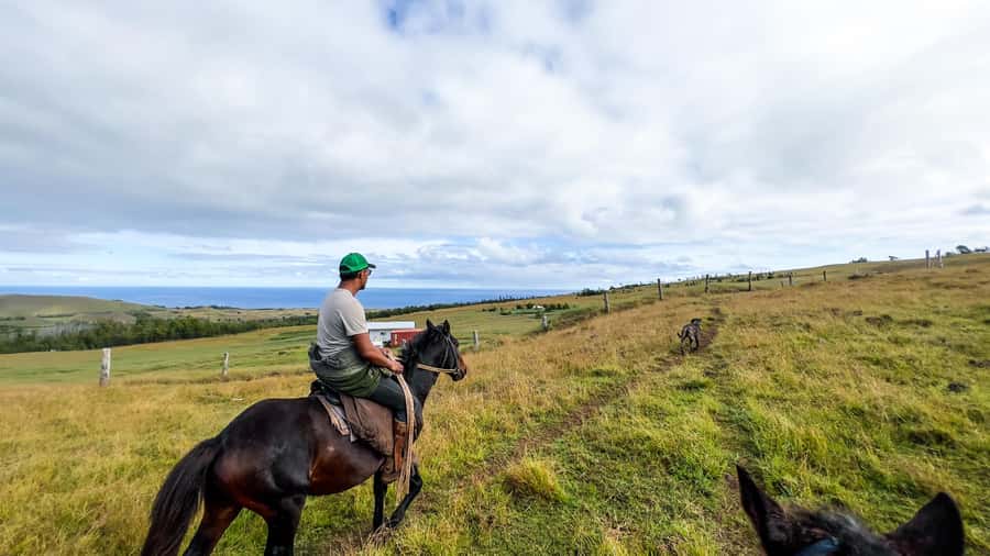 Terevaka Horse Excursion: The highest point and 360° view. - Key points at a glance