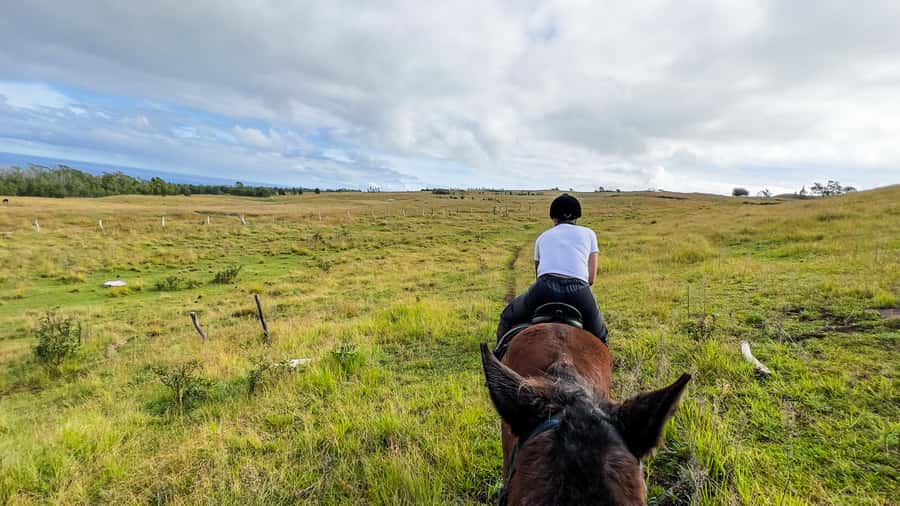 Terevaka Horse Excursion: The highest point and 360° view. - Meeting the horses and getting ready to ride