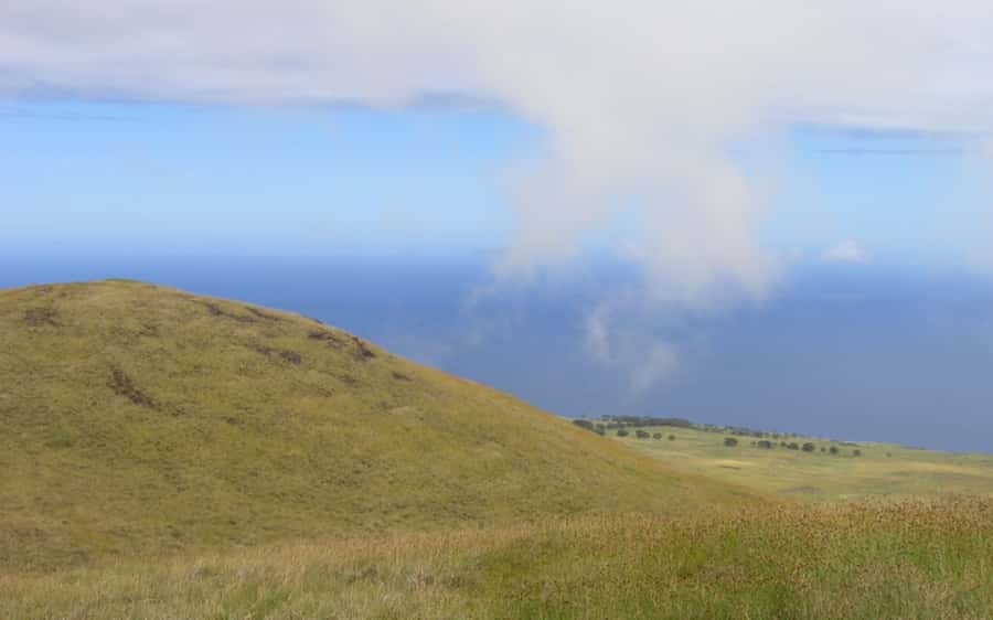 Terevaka Horse Excursion: The highest point and 360° view. - Is $130 a fair price?