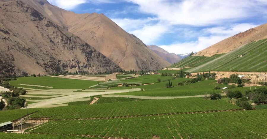 The Magnificient Elqui Valley Grand Tour - Five Details That Shape the Day