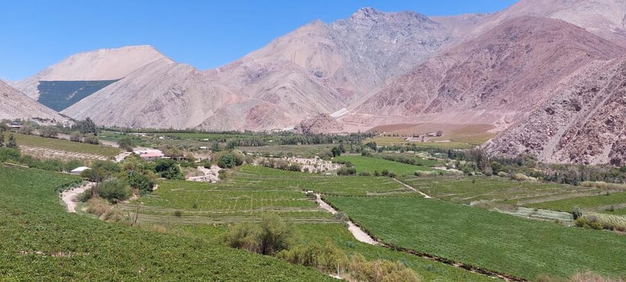 The Magnificient Elqui Valley Grand Tour - Why the Elqui Valley Deserves a Full Day