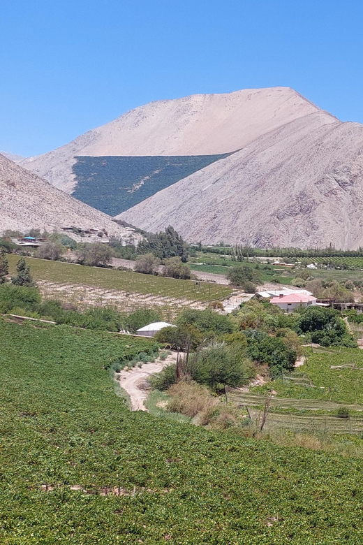 The Magnificient Elqui Valley Grand Tour - Solar Cooking at Entre Cordilleras