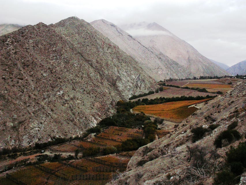 The Magnificient Elqui Valley Grand Tour - Food and a Quick Stop on Avenida Francisco de Aguirre