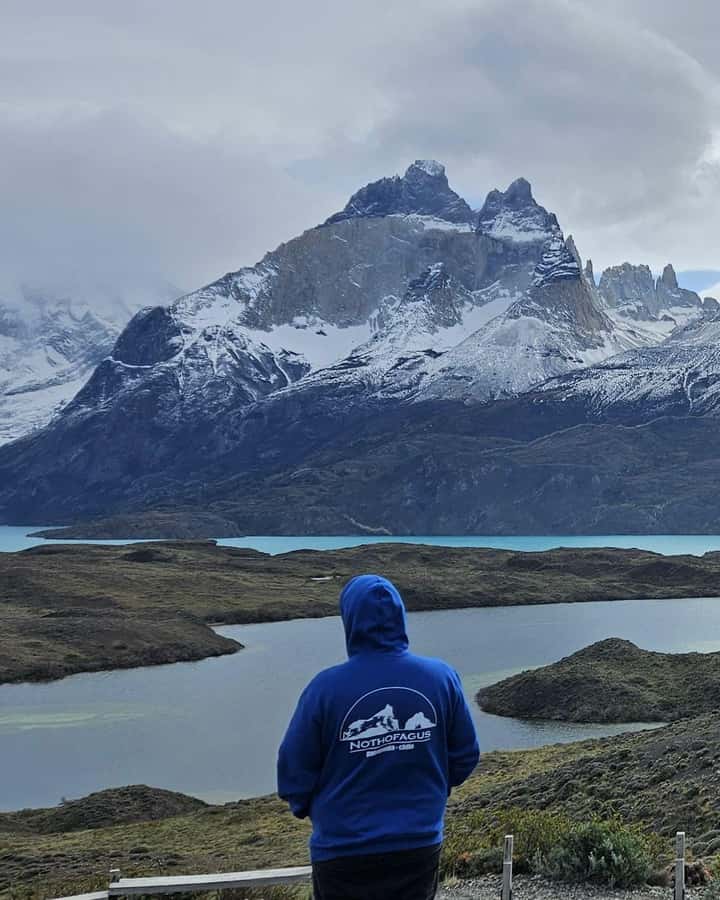 Torres del Paine: Full Day Excursion Torres del Paine + Milodon Cave. - Key Things to Know Before Booking