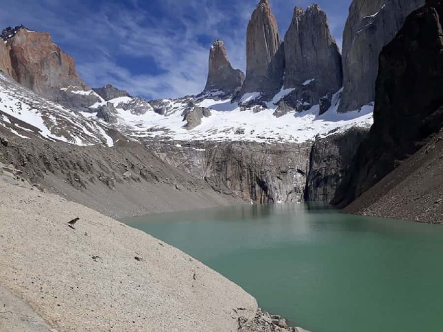 Torres del Paine: Full-Day Trekking Excursion - Key points to know before you book