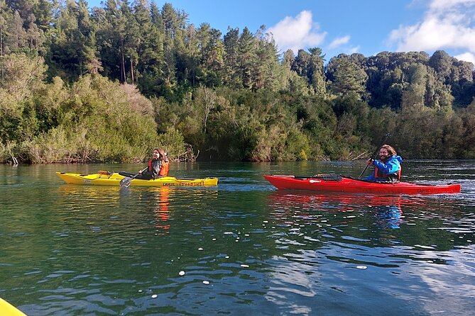 Tour Guiado en Kayak por Rio Maullin / Medío dia en Pto. Varas - Entering the Maullín River